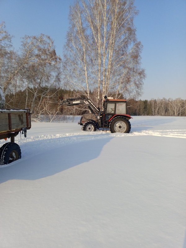 Помощник Беларус