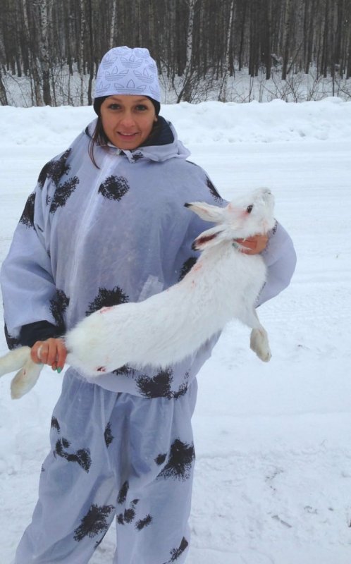 Подорожник