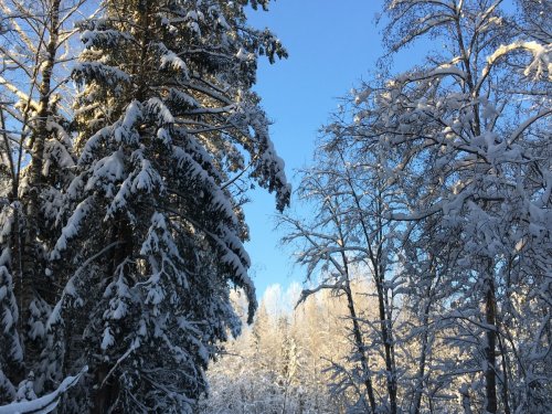 -32..