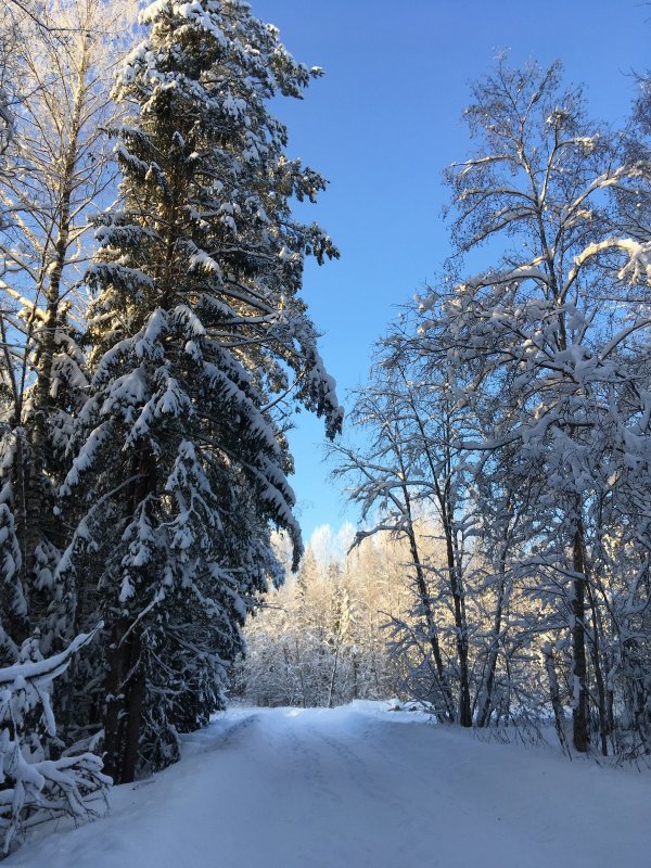 -32..