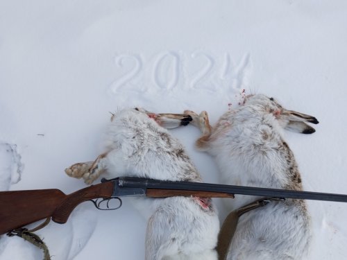 Холодновато сегодня))