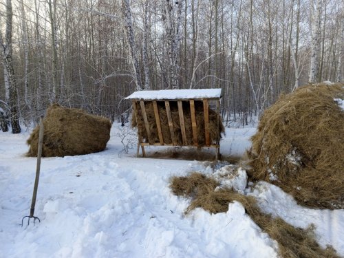 28.01.2024 г. Биотехния Южноозерное Карасукский район