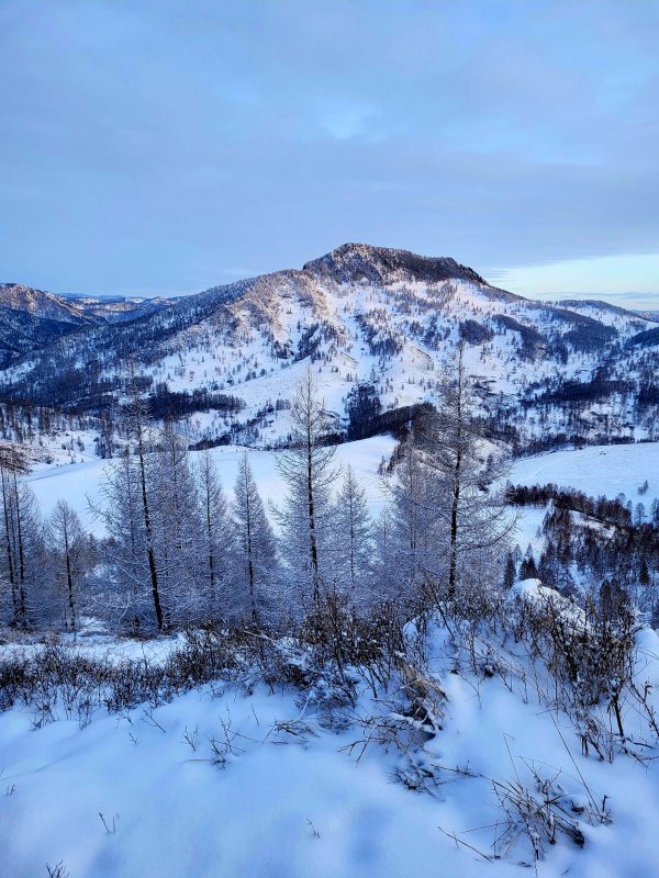 Алтайский край
