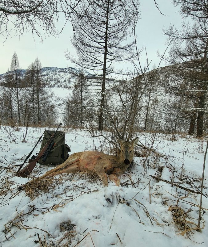 Сезон завершён