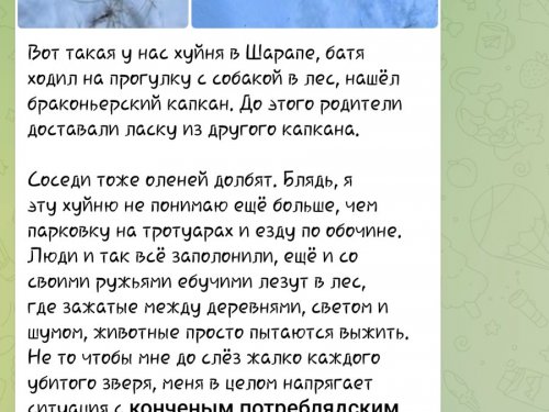 Новосибирский блогер ПРОТИВ охоты