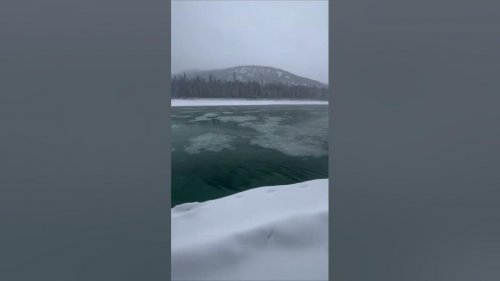 Охота на волка ! Промысел !