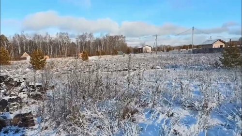 Не остаться в этой траве.....