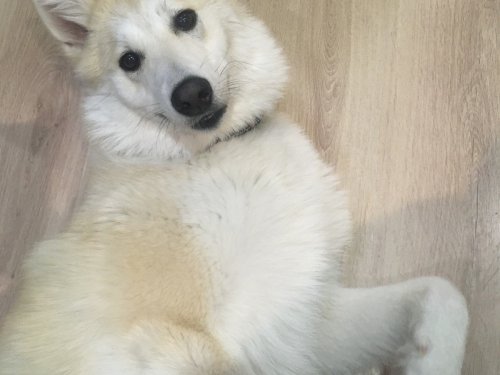 сезон закрыт:)