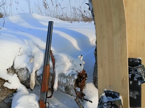Под окончание сезона...