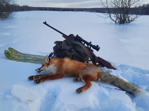 Под закрытие сезона
