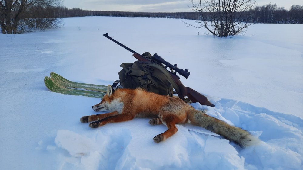 Под закрытие сезона