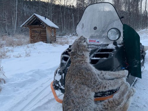 Промысел