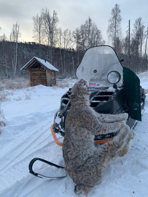 Промысел