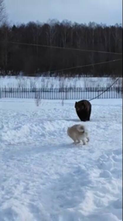А я не боюсь..работаю..