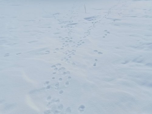 День начинается очень хорошо!