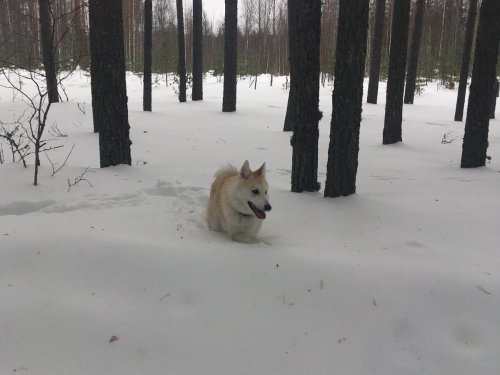 Полный привод...
