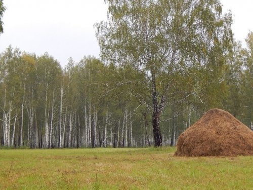 Выстрел...