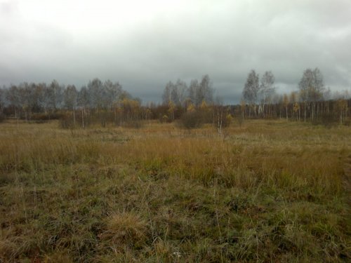 Настроение