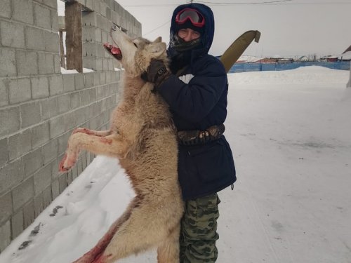 Вчера друг взял одиночку.