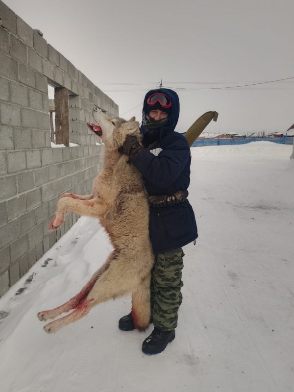 Вчера друг взял одиночку.