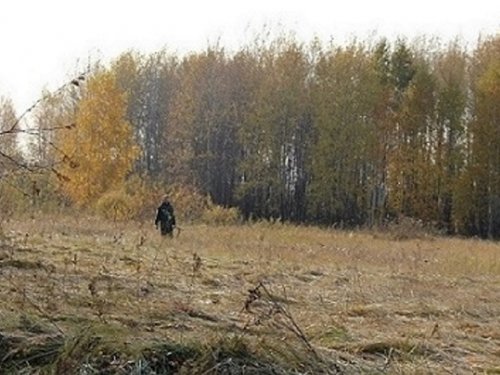 "Охотница"