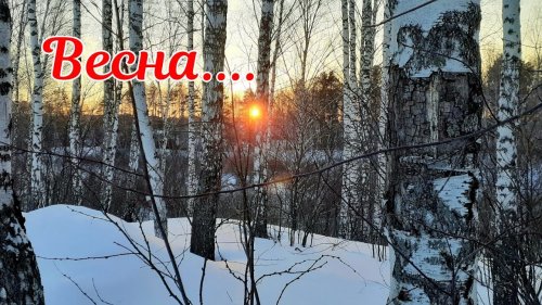 Весна красавишна | Март