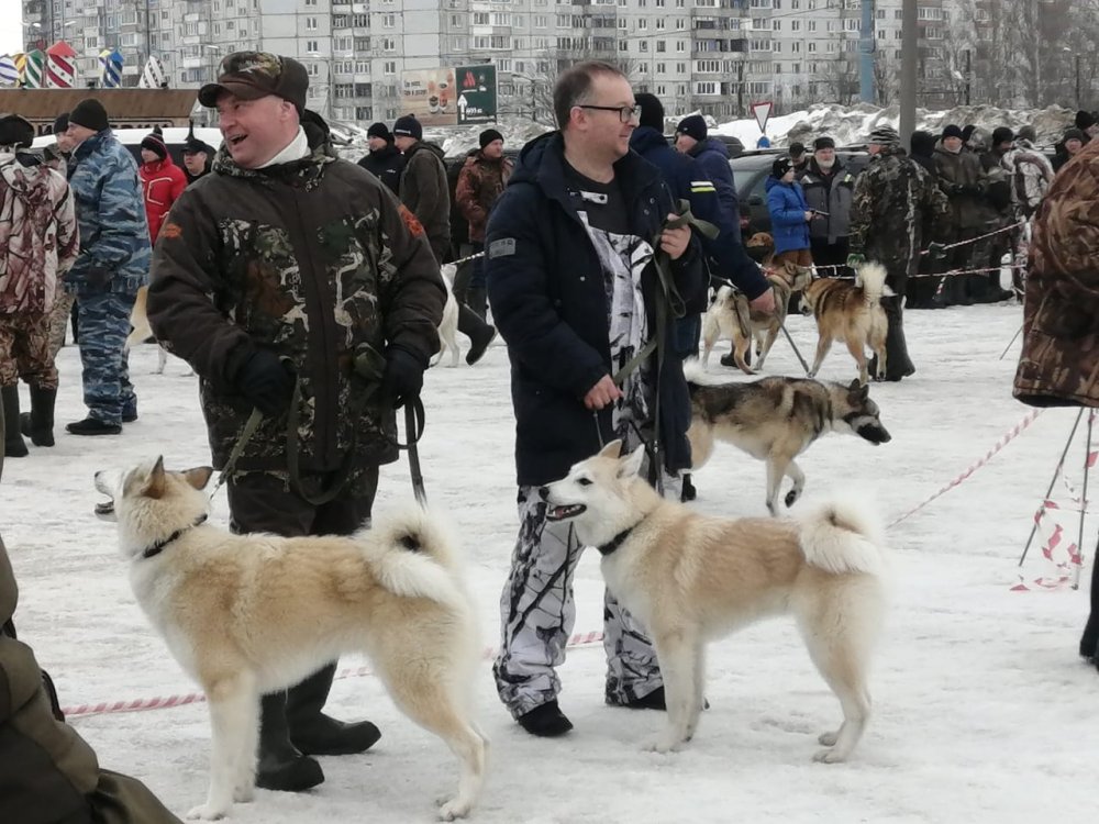 10 месяцев..очень хорошо и БСЖ.