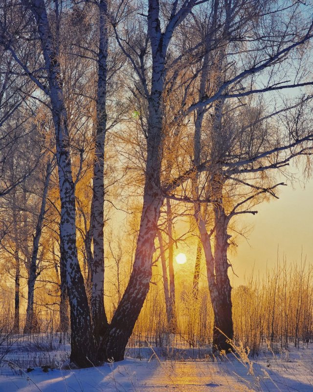 Весеннее  тепло