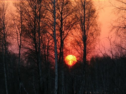 Нас также Бог - помилует, а душу вознесёт