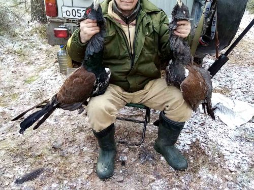 закрыт сезон