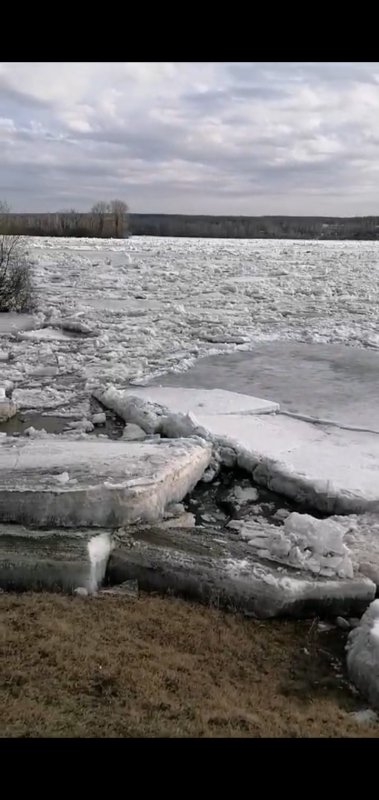 Вода нынче дурная!