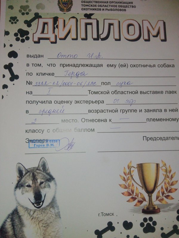 Диплом с 1 Томской выставки лаек
