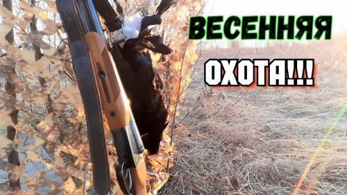 Весенней Охоте посвящается .....