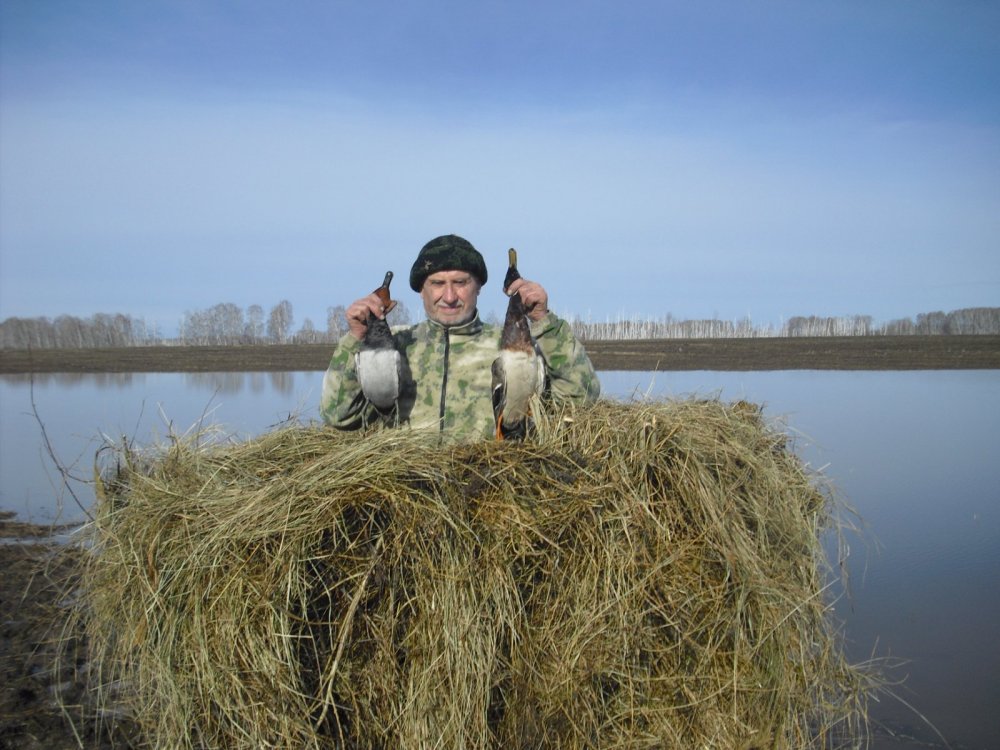 Процесс продолжается.