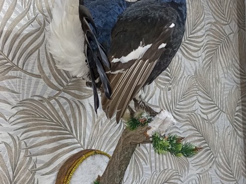 Весенний.