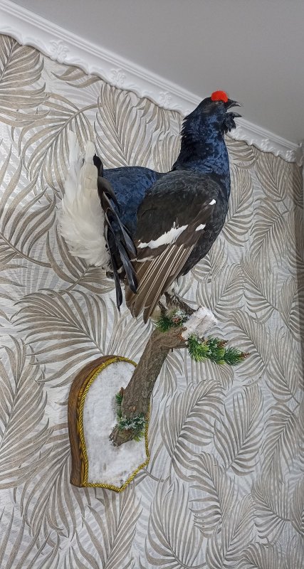 Весенний.