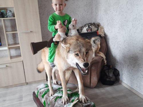 Царевич на сером волке!