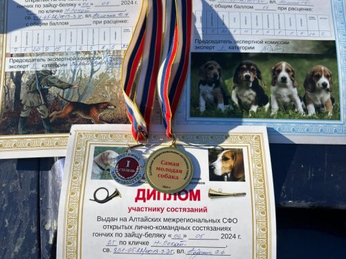 Алтайские состязания