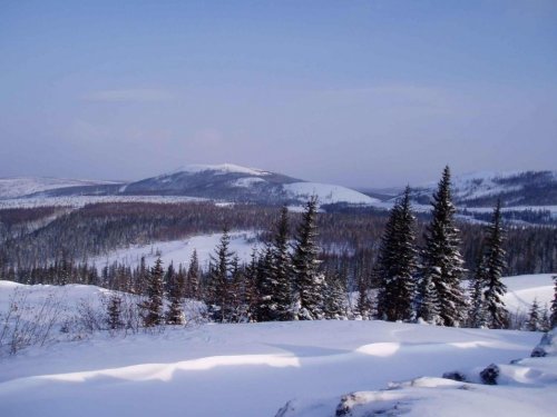 В краю непуганых топтыгиных. Путик часть 3.