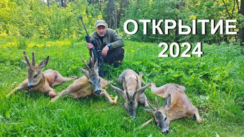 Охота на косулю с подхода. Открытие сезона 2024