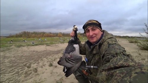 ОХОТА НА ГУСЯ ОСЕНЬ / Волшебные чучела и гуси садятся на голову.