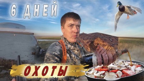 6 Дней весенней охоты. Очень много живности
