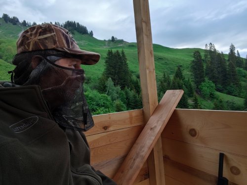 На вечерней в Альпах.