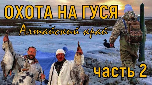 Весенняя охота на гуся Алтайский край 2024 / Утопили машину / Нашествие мышей / часть 2