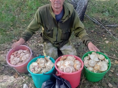 Завтра наконец то на охоту... наверное)))