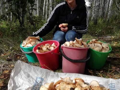 Сырость не помеха)