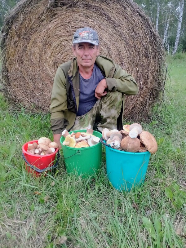 Прогулка по угодьям)