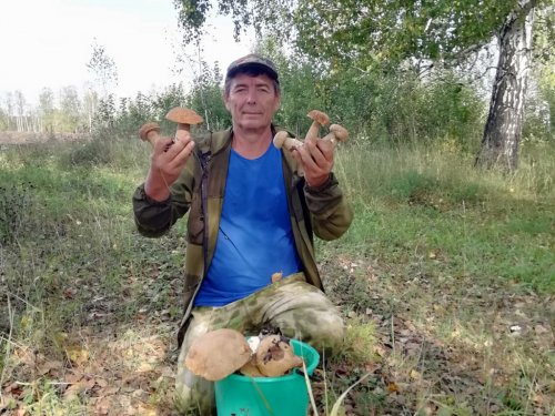 За белыми!