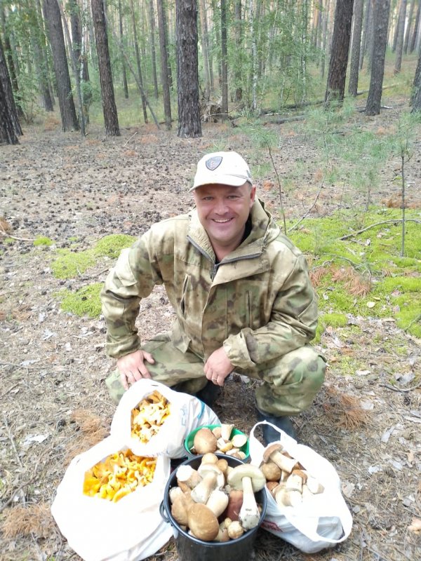 Грибная охота