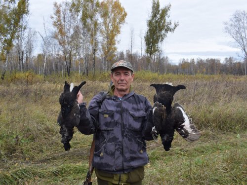 Косачишки!